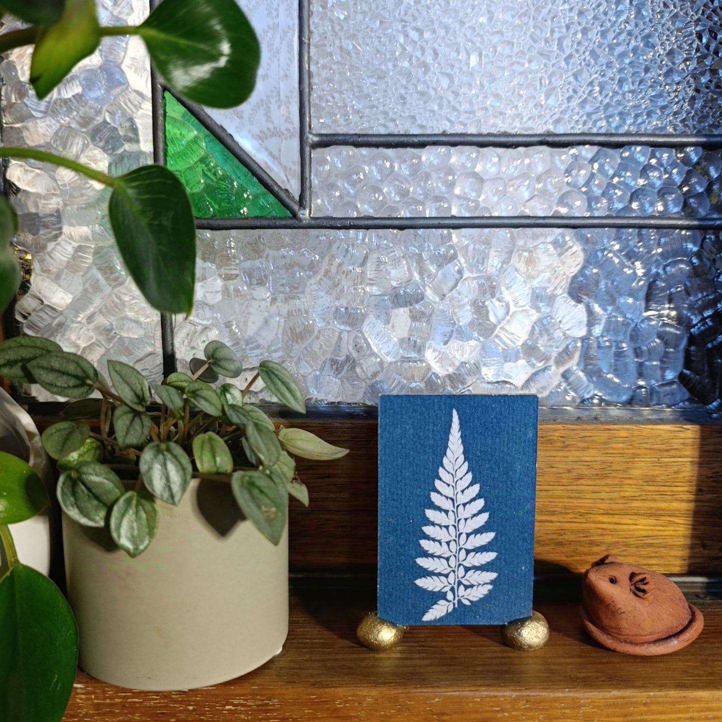 Cyanotype of fern leaf