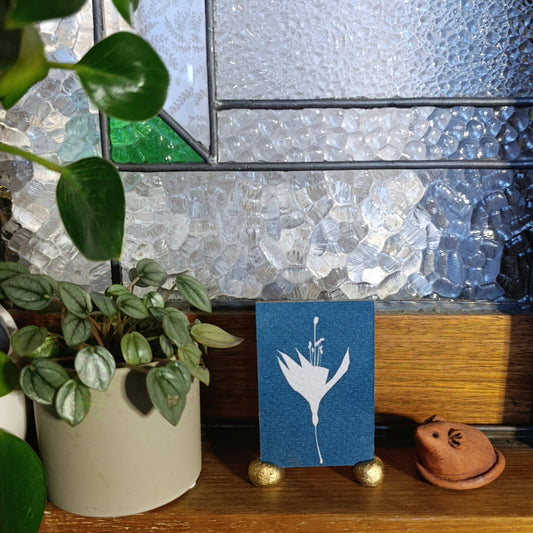 Cyanotype of a fuscia flower