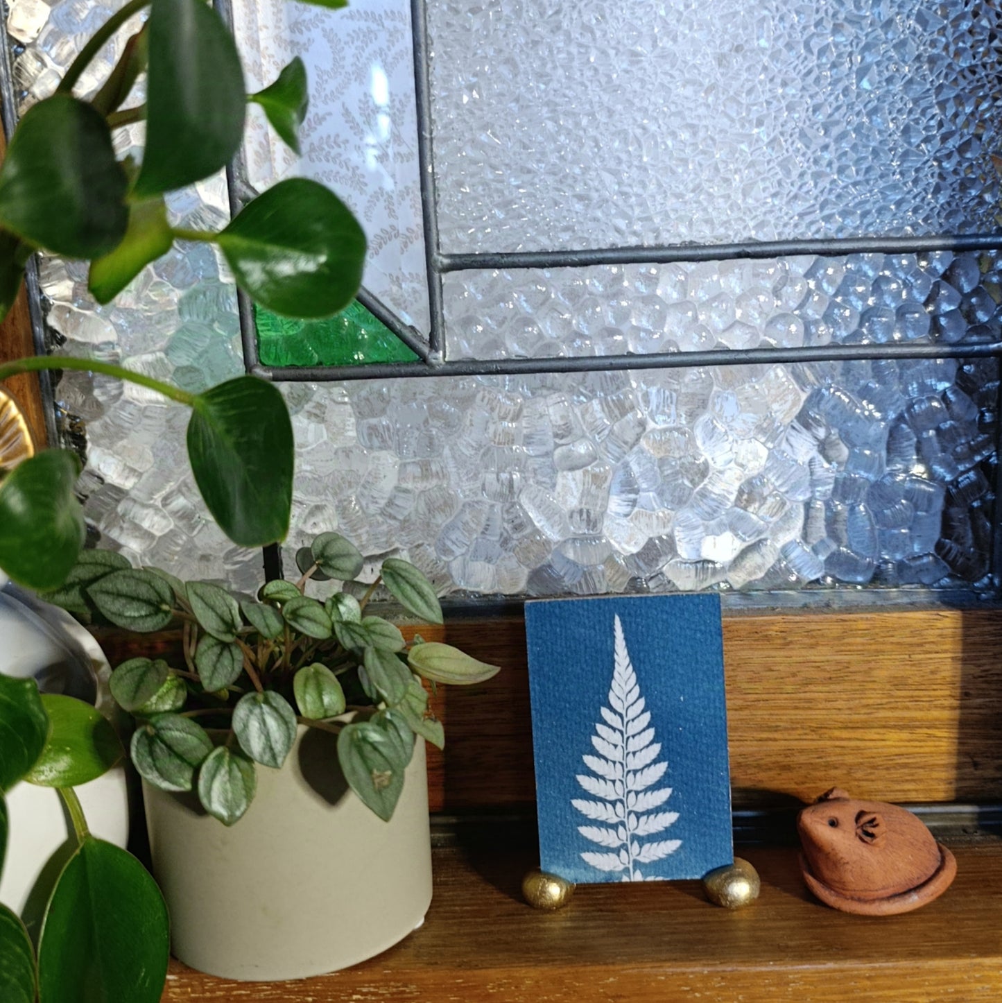 Cyanotype of a fern leaf