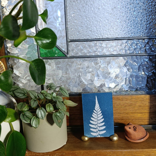 Cyanotype of a fern leaf