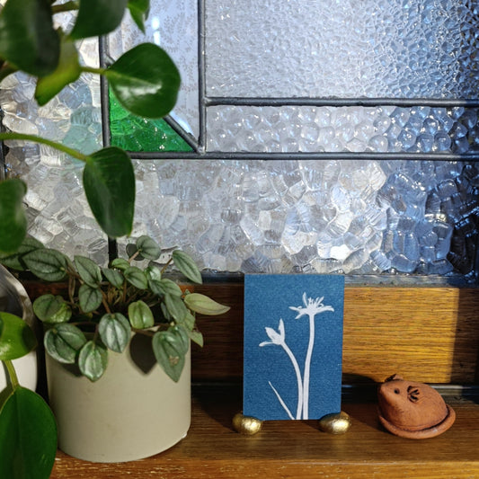 Cyanotype of flowers