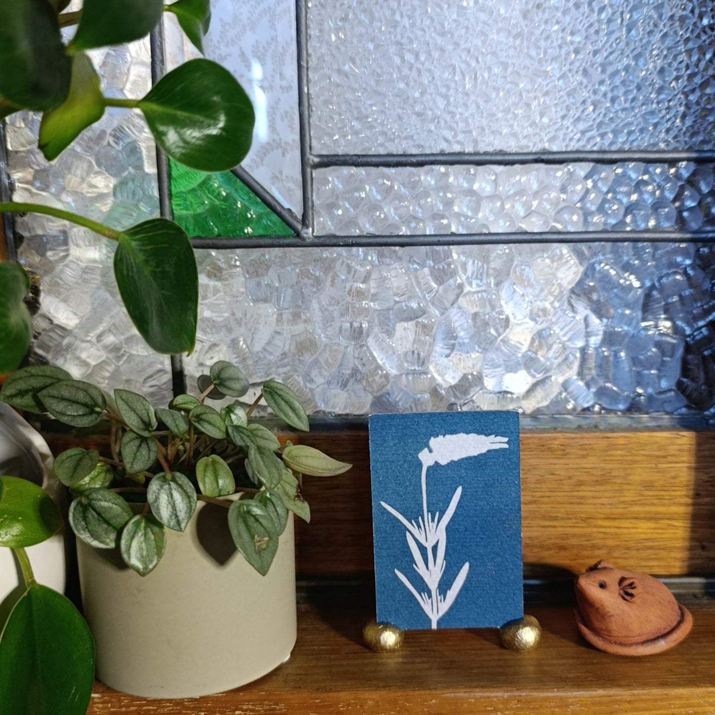 Cyanotype of lavender