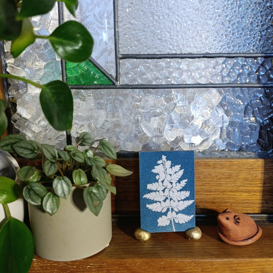 Cyanotype of a fern leaf