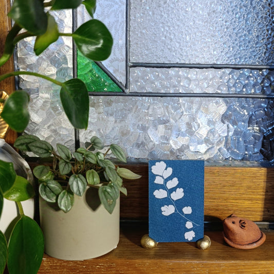 Cyanotype of a fern leaf